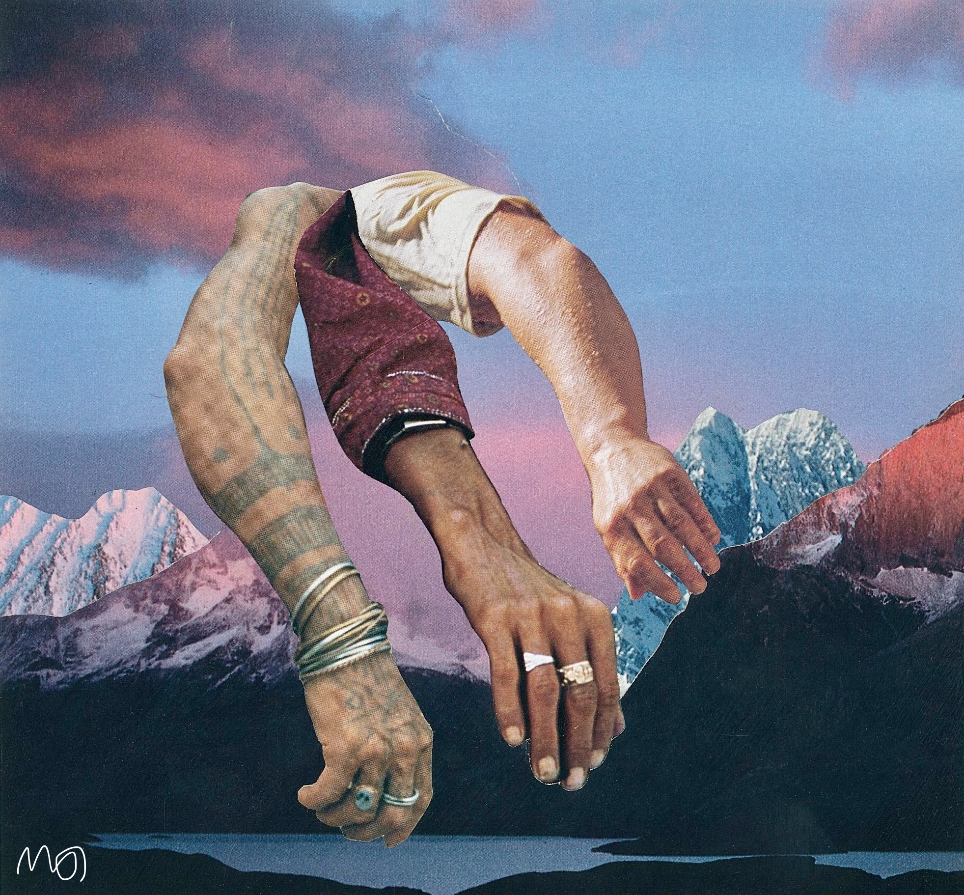 Roots Of The Tree Collage