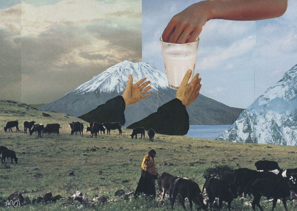 Milked The Sun Collage